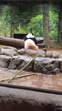 恩賜上野動物園に投稿された画像（2025/11/3）