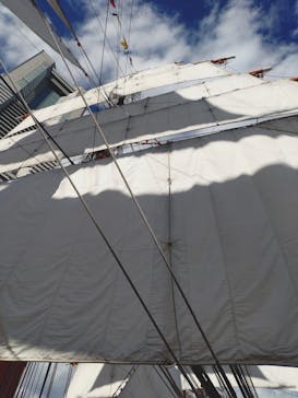 帆船日本丸・横浜みなと博物館 柳原良平アートミュージアムに投稿された画像（2025/11/3）