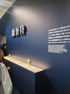 正倉院 THE SHOW ―感じる。いま、ここにある奇跡―　@上野の森美術館に投稿された画像（2025/11/3）