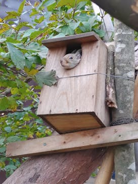 那須どうぶつ王国に投稿された画像（2025/11/3）