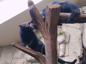 那須どうぶつ王国に投稿された画像（2025/11/3）