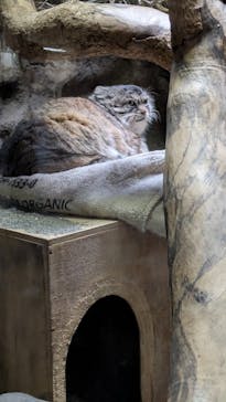 恩賜上野動物園に投稿された画像（2025/11/3）