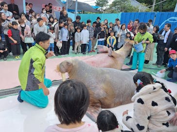 ゼロ距離水族館 伊勢シーパラダイスに投稿された画像（2025/11/3）