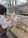 こども動物自然公園（埼玉県公園緑地協会）に投稿された画像（2025/11/3）
