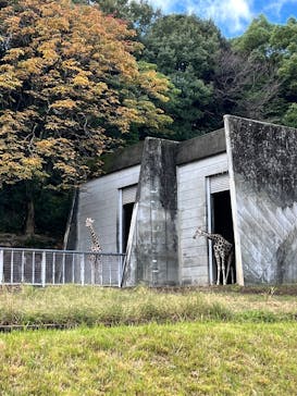 名古屋市東山動植物園に投稿された画像（2025/11/3）