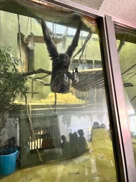 名古屋市東山動植物園に投稿された画像（2025/11/3）