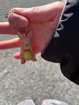 名古屋市東山動植物園に投稿された画像（2025/11/3）