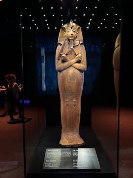 ACN ラムセス大王展 ファラオたちの黄金に投稿された画像（2025/11/3）