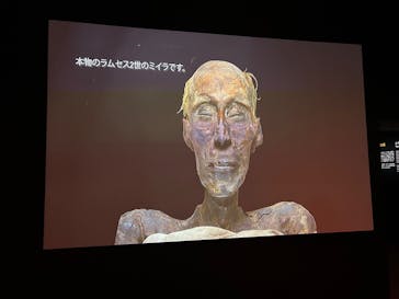 ACN ラムセス大王展 ファラオたちの黄金に投稿された画像（2025/11/3）