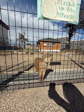 あらかわ遊園に投稿された画像（2025/11/3）