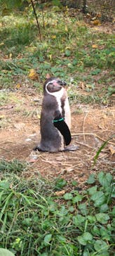 こども動物自然公園（埼玉県公園緑地協会）に投稿された画像（2025/11/3）