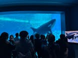 名古屋港水族館に投稿された画像（2025/11/3）