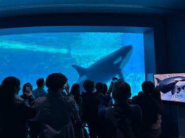 名古屋港水族館に投稿された画像（2025/11/3）