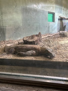 名古屋市東山動植物園に投稿された画像（2025/11/3）