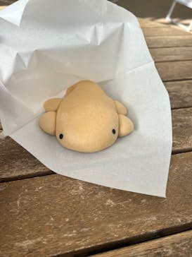 京都水族館に投稿された画像（2025/11/3）