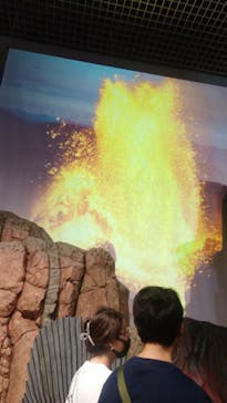 特別展「大絶滅展―生命史のビッグファイブ」に投稿された画像（2025/11/3）