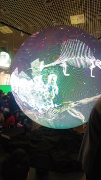 特別展「大絶滅展―生命史のビッグファイブ」に投稿された画像（2025/11/3）