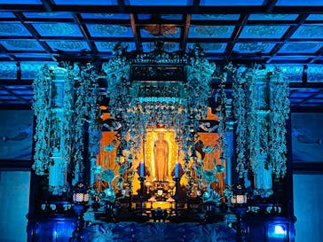 博多ライトアップウォーク実行委員会に投稿された画像（2025/11/3）