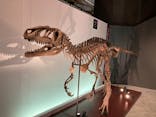 福井県立恐竜博物館に投稿された画像（2025/11/3）