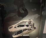 福井県立恐竜博物館に投稿された画像（2025/11/3）