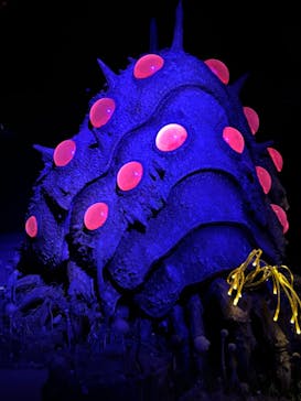 金曜ロードショーとジブリ展（静岡展）に投稿された画像（2025/11/3）