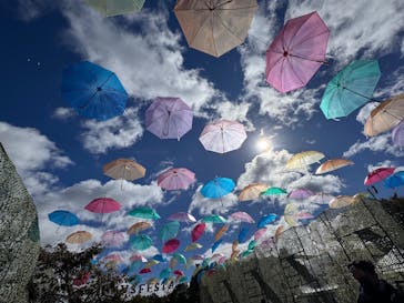 万博記念公園に投稿された画像（2025/11/3）