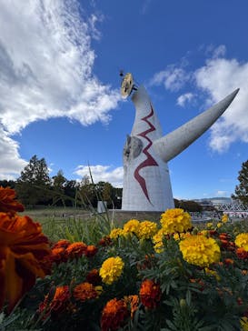 万博記念公園に投稿された画像（2025/11/3）