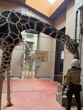 天王寺動物園に投稿された画像（2025/11/3）