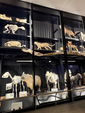 天王寺動物園に投稿された画像（2025/11/3）