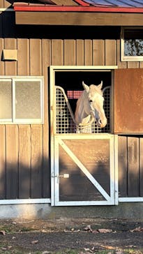 ノーザンホースパークに投稿された画像（2025/11/3）