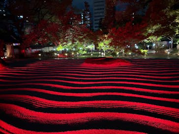 博多ライトアップウォーク実行委員会に投稿された画像（2025/11/3）