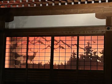 博多ライトアップウォーク実行委員会に投稿された画像（2025/11/3）