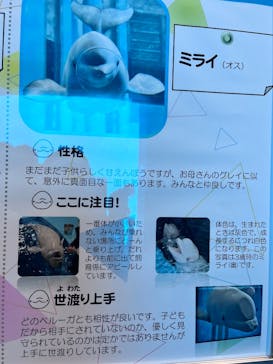 名古屋港水族館に投稿された画像（2025/11/3）
