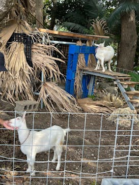 All Blue（オールブルー）に投稿された画像（2025/11/3）