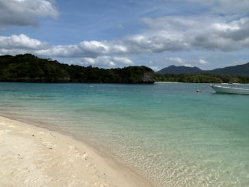 All Blue（オールブルー）に投稿された画像（2025/11/3）