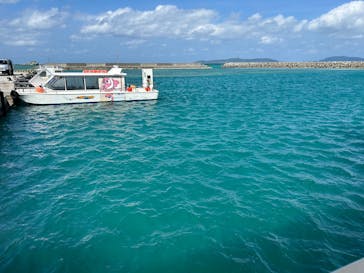 All Blue（オールブルー）に投稿された画像（2025/11/3）