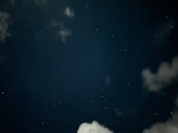 （株）美ら星アイランドに投稿された画像（2025/11/3）