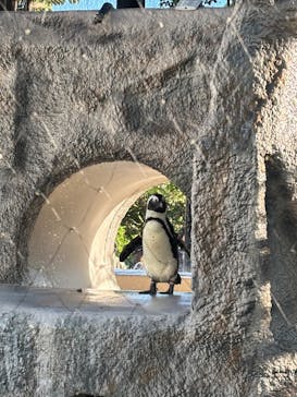 恩賜上野動物園に投稿された画像（2025/11/3）