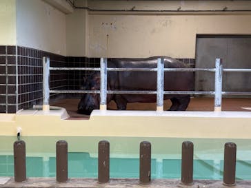 恩賜上野動物園に投稿された画像（2025/11/3）