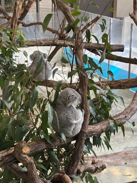 多摩動物公園に投稿された画像（2025/11/3）