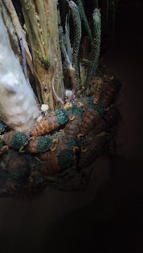 金曜ロードショーとジブリ展（静岡展）に投稿された画像（2025/11/3）