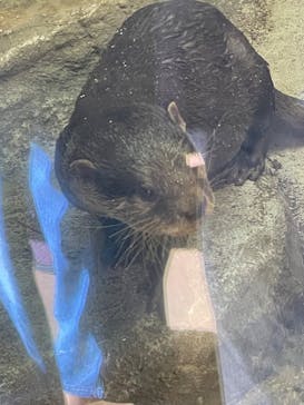 名古屋市東山動植物園に投稿された画像（2025/11/3）