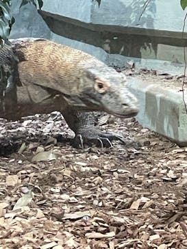 名古屋市東山動植物園に投稿された画像（2025/11/3）