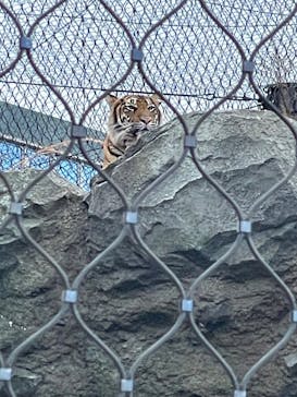 名古屋市東山動植物園に投稿された画像（2025/11/3）