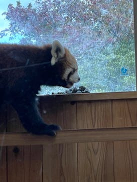 名古屋市東山動植物園に投稿された画像（2025/11/3）