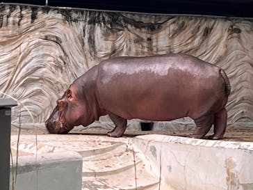 恩賜上野動物園に投稿された画像（2025/11/3）