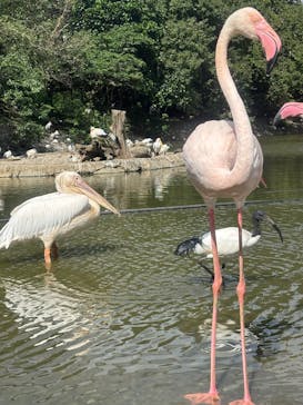 ネオパークオキナワに投稿された画像（2025/11/3）