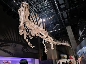 福井県立恐竜博物館に投稿された画像（2025/11/3）