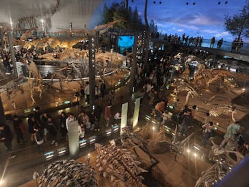 福井県立恐竜博物館に投稿された画像（2025/11/3）