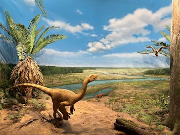 福井県立恐竜博物館に投稿された画像（2025/11/3）